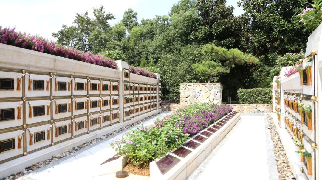 在合肥大蜀山文化陵园，与生命温柔对话