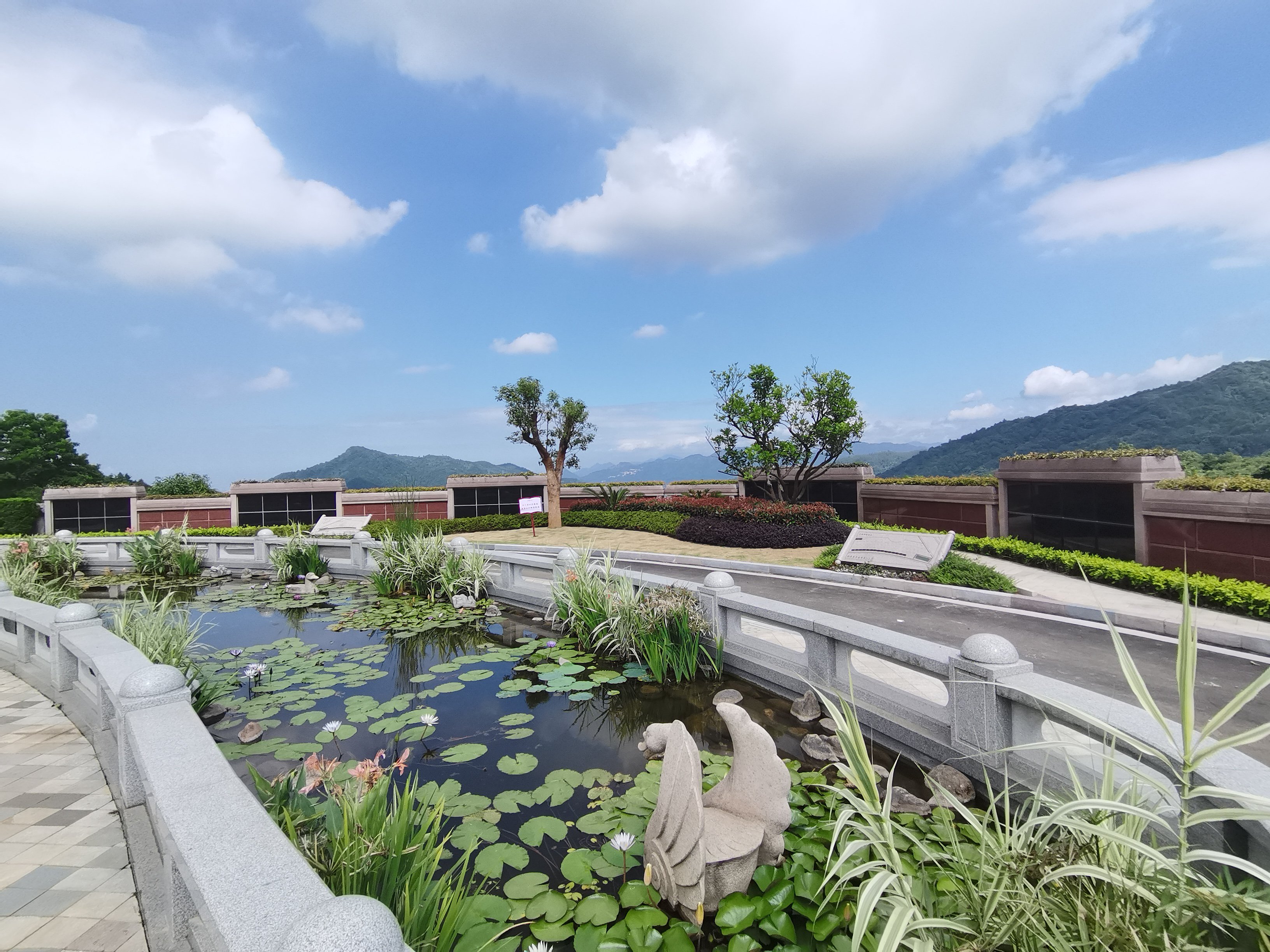 突破瓶颈，探索绿色生态殡葬新路径