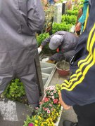 【仲博人别样清明】2018年清明落葬工作圆满完成