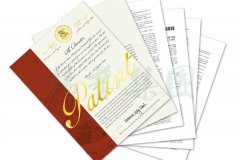 国际认可 | 仲博喜获一项美国发明专利授权