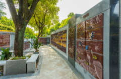 绿色殡葬新风尚：探索葬式多样化的创新之路