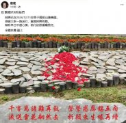 向死而生：生态葬重塑的生命美学